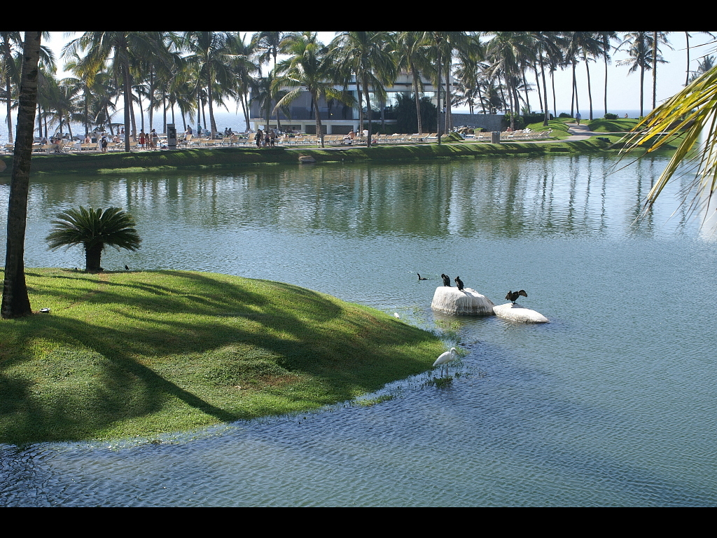 Acapulco 2007 060r.jpg
