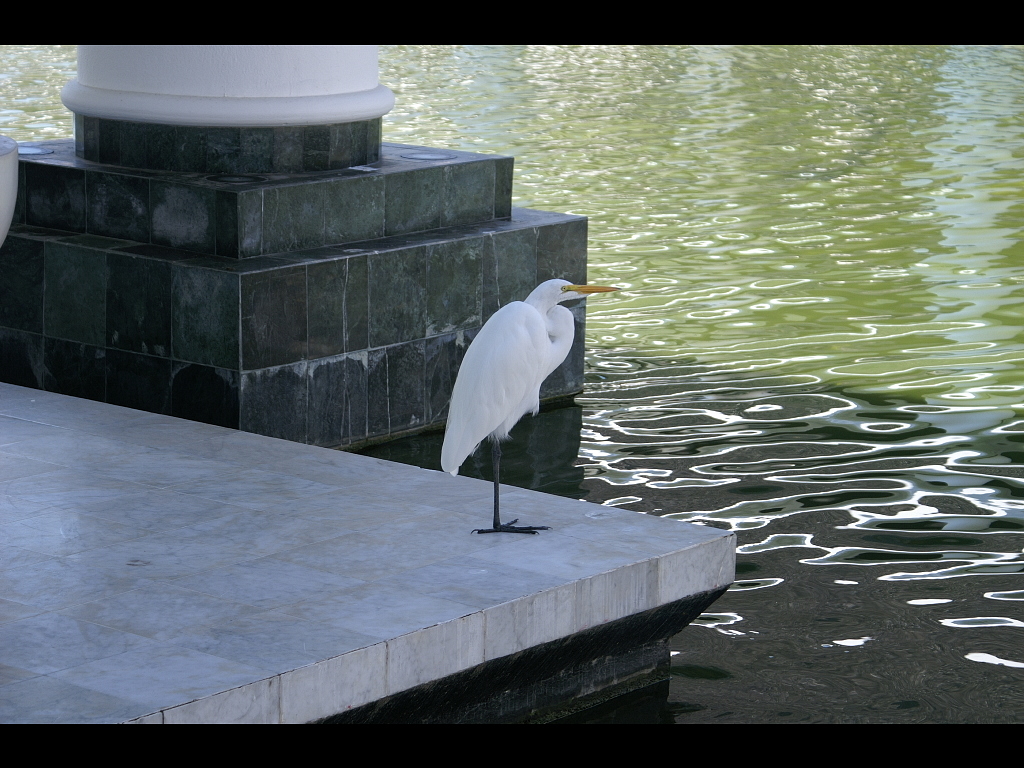 Acapulco 2007 065r.jpg