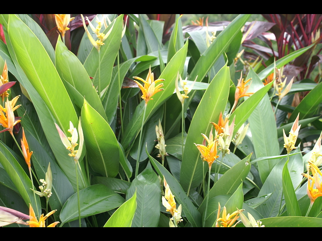 Acapulco 2007 274r.jpg