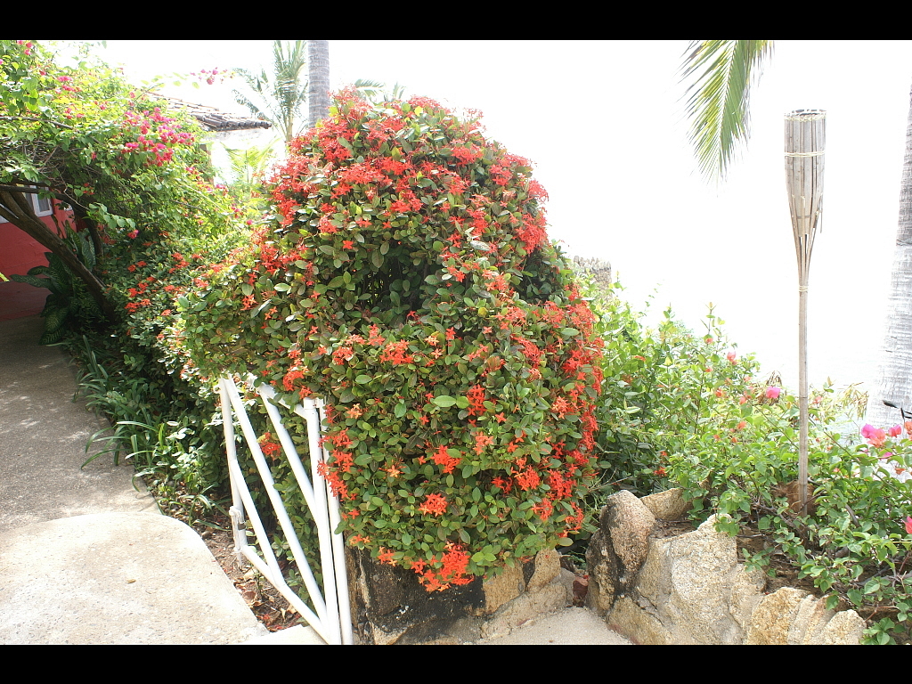 Acapulco 2007 308r.jpg