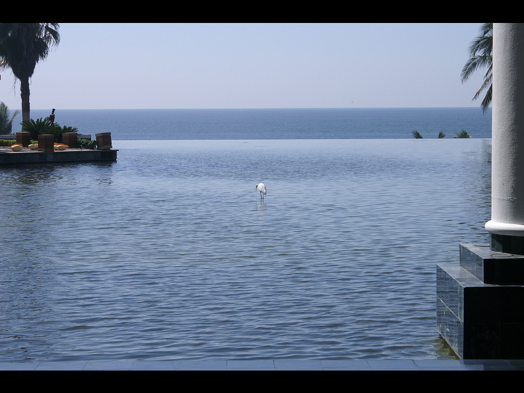 Acapulco 2007 400 (86).jpg