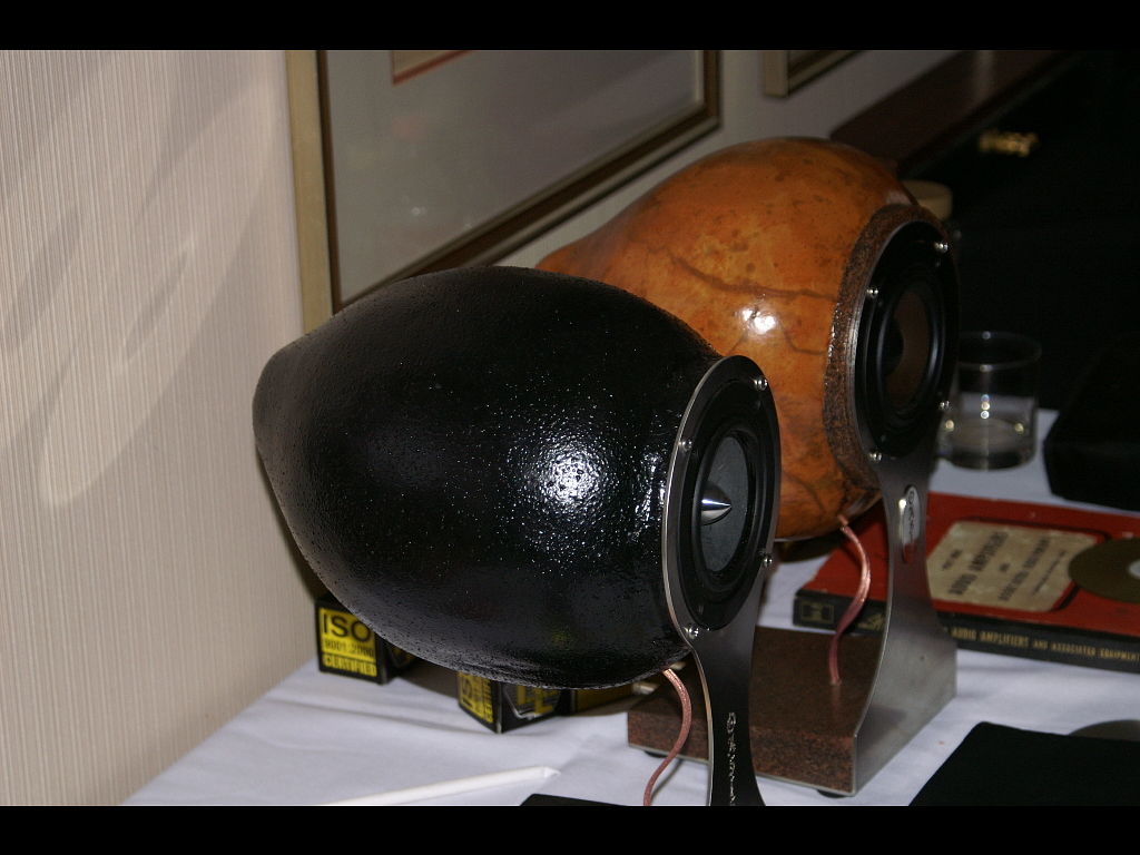 AKFest 2012 078r.jpg